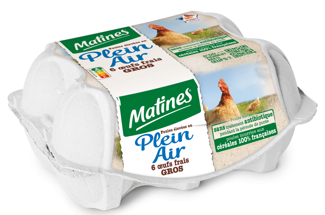 Les Oeufs Frais De Poules lev es Au Sol Les ufs Matines Les Oeufs Frais De Poules lev es Au Sol Les ufs Matines