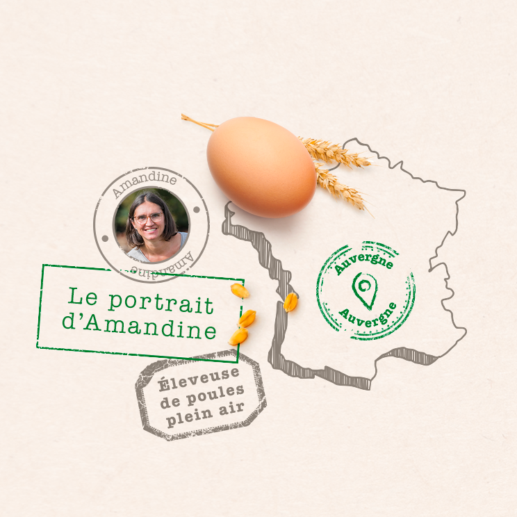 Amandine-01
